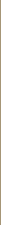Vertical-Gold-Line-Asset-3