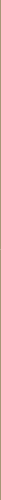 Vertical Line-Gold